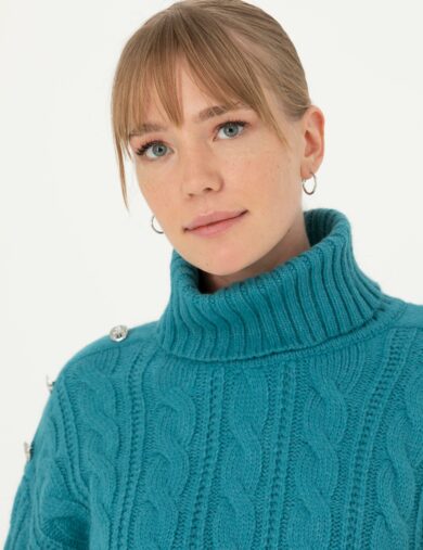 ژاکت تریکو یقه اسکی نفتی  رگولار آستین بلند زنانه  پیرکاردین