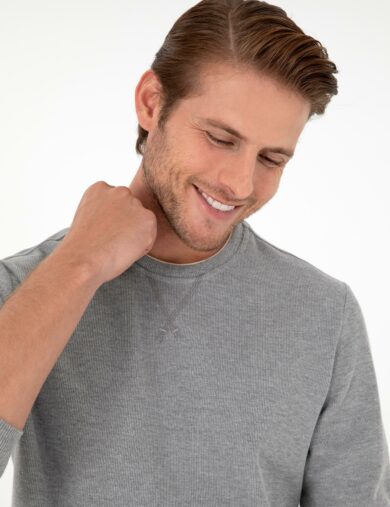 سویی شرت یقه گرد خاکستری  رگولار آستین بلند مردانه  پیرکاردین